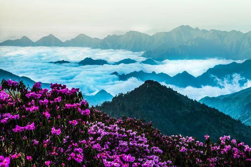 洪泽湖剿匪,张爱萍让官兵承认自己是“旱鸭子”,是何用意?